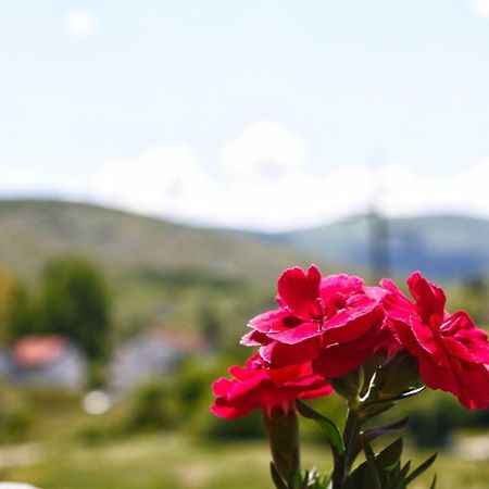 בלאגאי Apartmani S.Kilaci מראה חיצוני תמונה